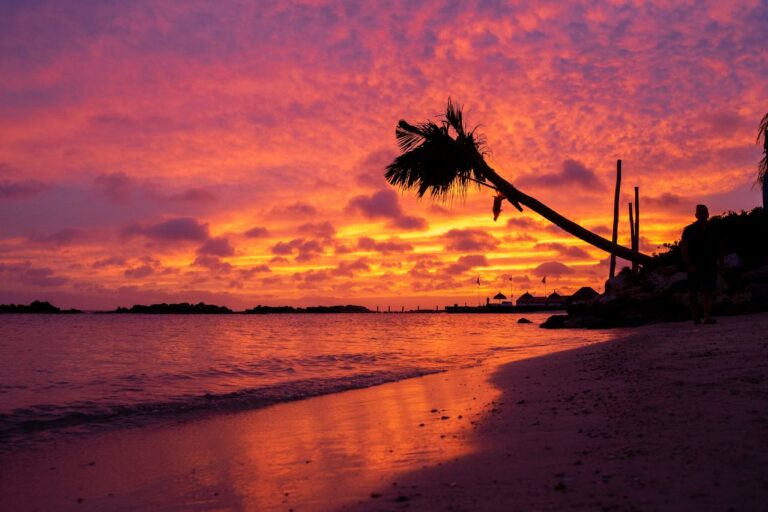 Wonen en studeren in één: jouw ideale studentenwoning op Curaçao