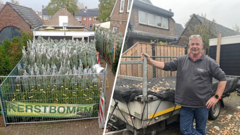 reword in dutch this title in other words: Martin (62 moet na 30 jaar stoppen satisfied kerstbomen verkopen vanuit huis